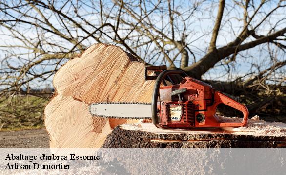 Abattage d'arbres 91 Essonne  Artisan Dumortier