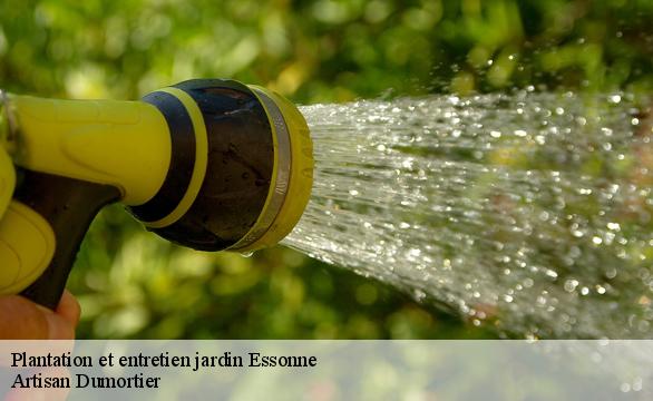 Plantation et entretien jardin 91 Essonne  Artisan Dumortier