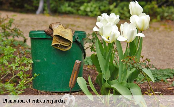 Plantation et entretien jardin Essonne 