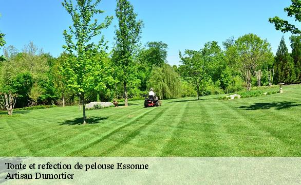 Tonte et refection de pelouse 91 Essonne  Artisan Dumortier