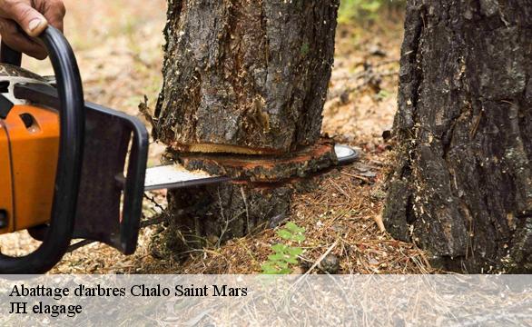 Abattage d'arbres  chalo-saint-mars-91780 JH elagage