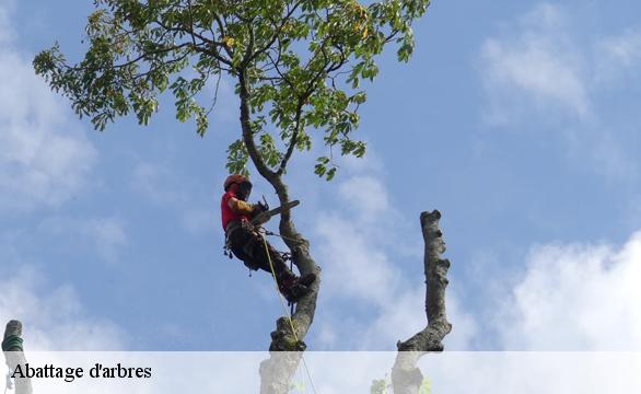 Abattage d'arbres  91490