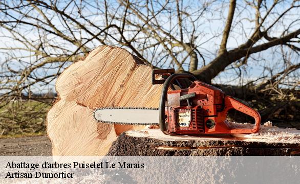 Abattage d'arbres  puiselet-le-marais-91150 Artisan Dumortier