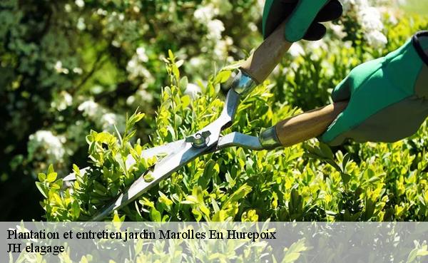 Entretien de jardins à Marolles En Hurepoix tél: 01.85.53 ...