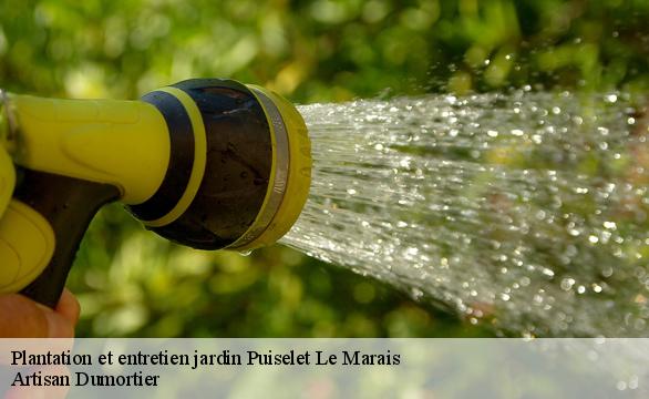 Plantation et entretien jardin  puiselet-le-marais-91150 Artisan Dumortier