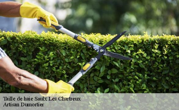 Taille de haie  saulx-les-chartreux-91160 Artisan Dumortier