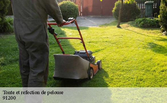 Tonte et refection de pelouse  91200