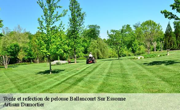 Tonte et refection de pelouse  ballancourt-sur-essonne-91610 Artisan Dumortier