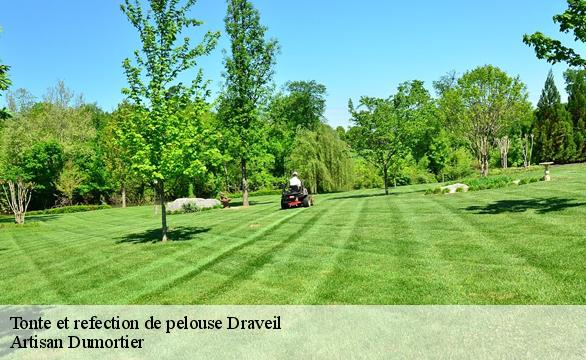 Tonte et refection de pelouse  draveil-91210 Artisan Dumortier