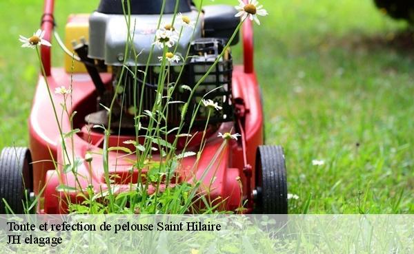 Tonte et refection de pelouse  saint-hilaire-91780 JH elagage