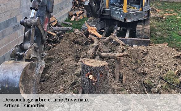 Dessouchage arbre et haie  auvernaux-91830 Artisan Dumortier