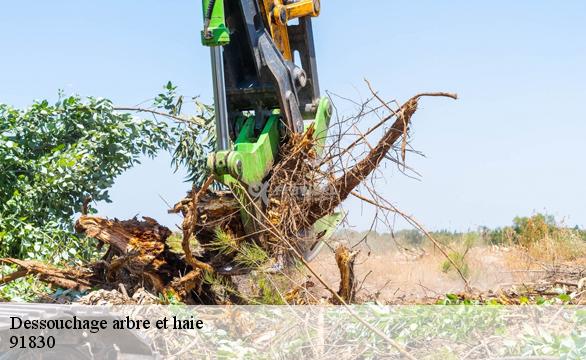 Dessouchage arbre et haie  91830