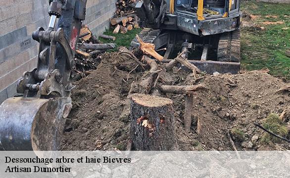 Dessouchage arbre et haie  bievres-91570 Artisan Dumortier