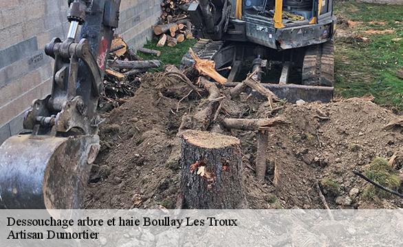 Dessouchage arbre et haie  boullay-les-troux-91470 Artisan Dumortier