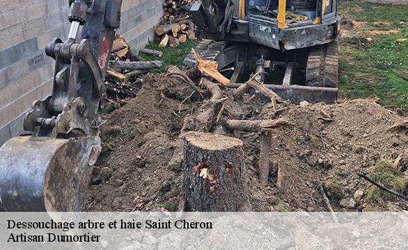 Dessouchage arbre et haie  saint-cheron-91530 Artisan Dumortier