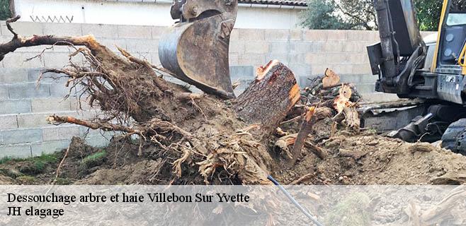 Dessouchage arbre et haie  villebon-sur-yvette-91140 JH elagage